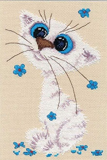 broderie chat